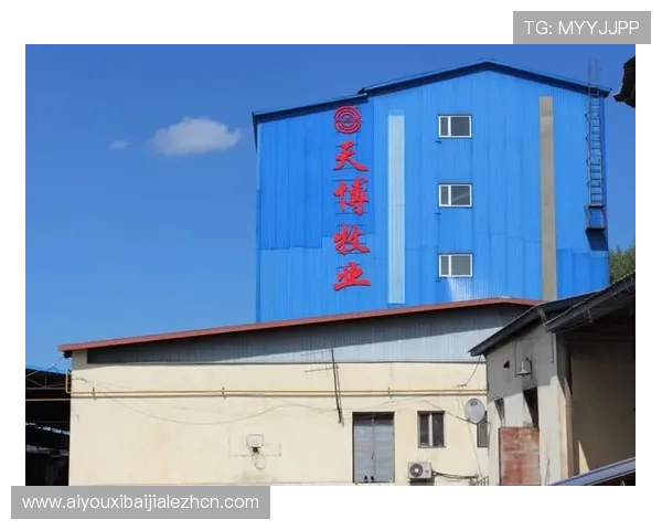 云顶集团 中国:详解其在中国地区的投资项目与合作伙伴关系 云顶集团 中国:详解其在中国地区的投资项目与合作伙伴关系