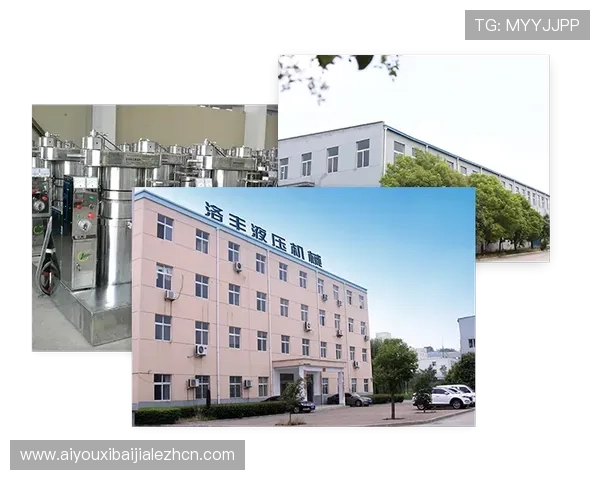 瑞丰乐投letou:如何利用平台实现稳健的财富增长 瑞丰乐投letou:如何利用平台实现稳健的财富增长