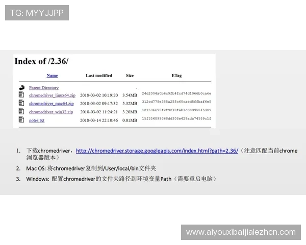 欧宝真人会员注册遇到问题怎么办？完整解决方案与常见问题解答