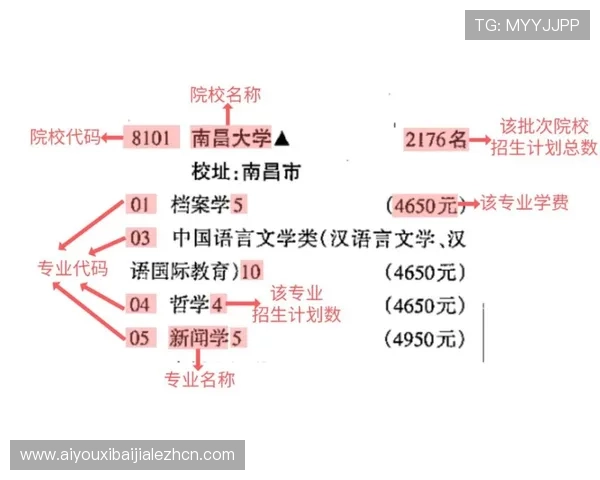 赌博百家乐的常见误区及避坑指南帮助玩家避免常犯的错误